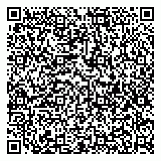 vCard 79951020003