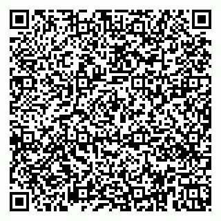 vCard 79951020008