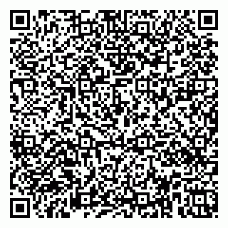 vCard 79951020011