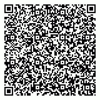 vCard 79951020013
