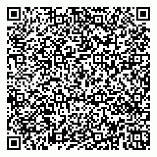 vCard 79951020020