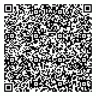 vCard 79951020030