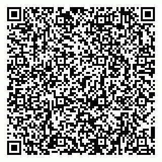 vCard 79951020031