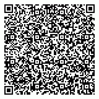 vCard 79951020032