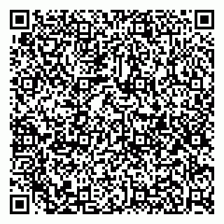 vCard 79951020033