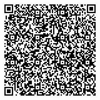 vCard 79951020035