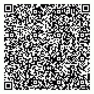 vCard 79951020040