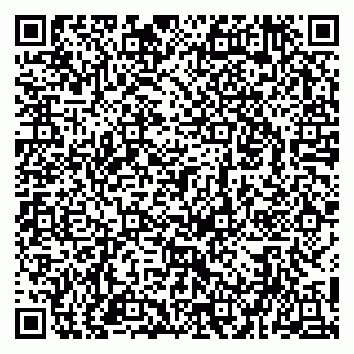 vCard 79951020041