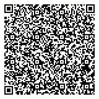 vCard 79951020062