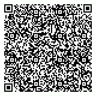 vCard 79951020063