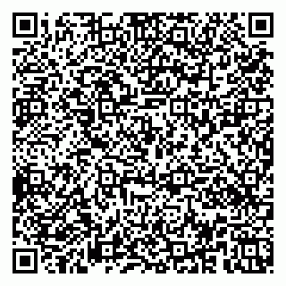vCard 79951020065