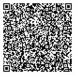 vCard 79951020073