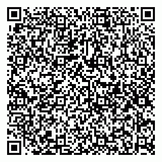 vCard 79951020085