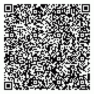 vCard 79951020087