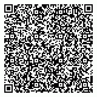 vCard 79951020095