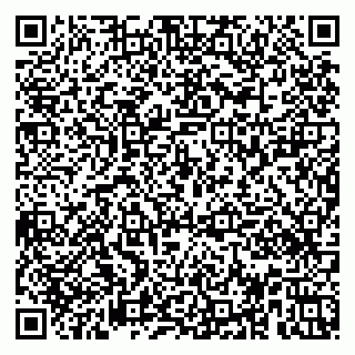vCard 79951020133