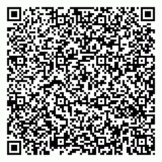 vCard 79951020137