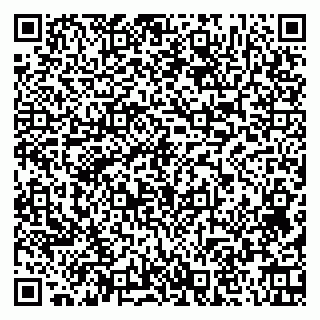 vCard 79951020138