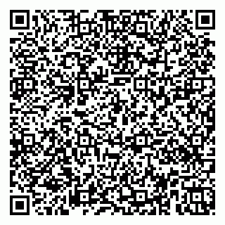 vCard 79951020139
