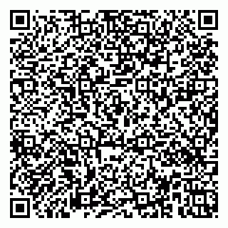 vCard 79951020173