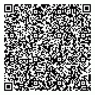 vCard 79951020199
