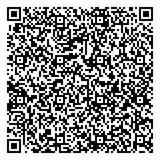 vCard 79951020237