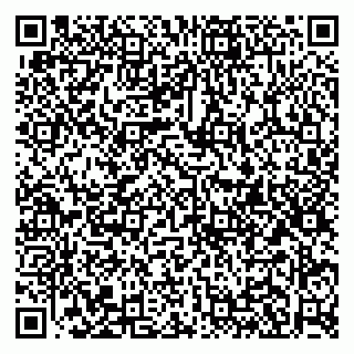 vCard 79951020255