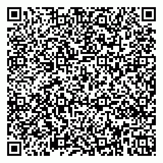 vCard 79951020259