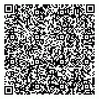 vCard 79951020267