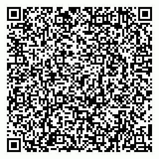 vCard 79951020271