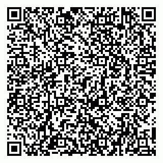 vCard 79951020273