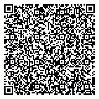 vCard 79951020274