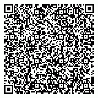 vCard 79951020275