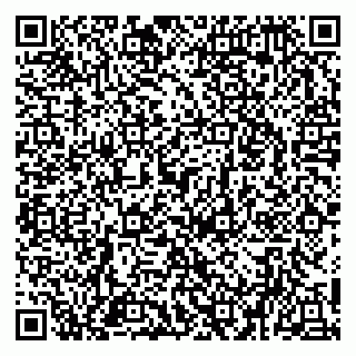 vCard 79951020278