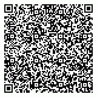 vCard 79951020281
