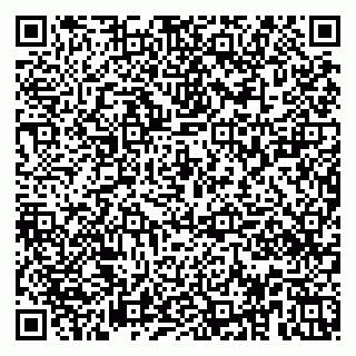 vCard 79951020284
