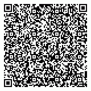 vCard 79951020287