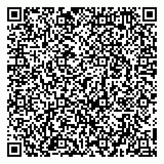 vCard 79951020288