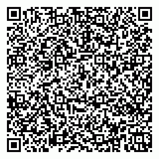 vCard 79951020289