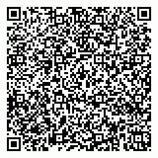 vCard 79951020291