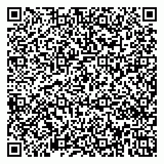 vCard 79951020293