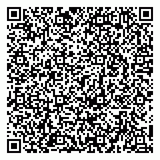 vCard 79951020294
