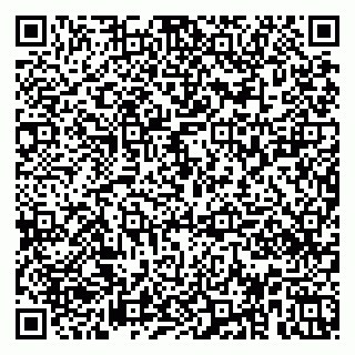 vCard 79951020295