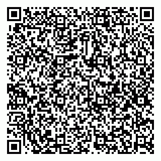 vCard 79951020296