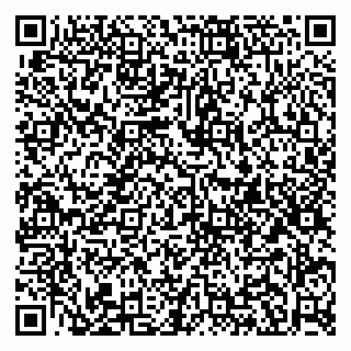 vCard 79951020297