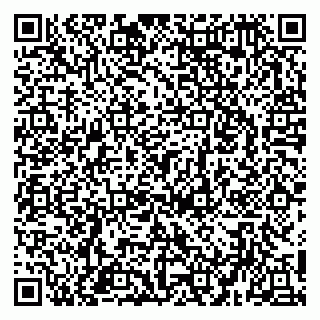 vCard 79951020298