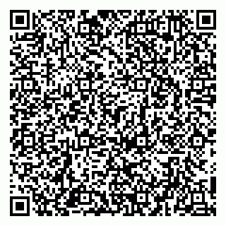 vCard 79951020300