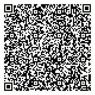 vCard 79951020303