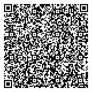 vCard 79951020307