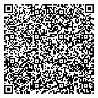 vCard 79951020313